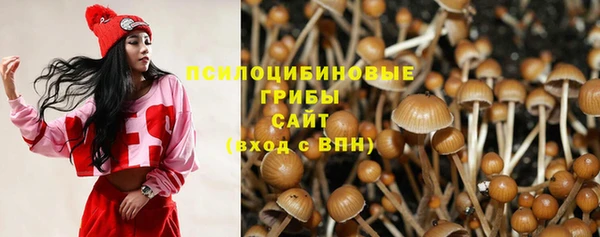 первитин Кукмор